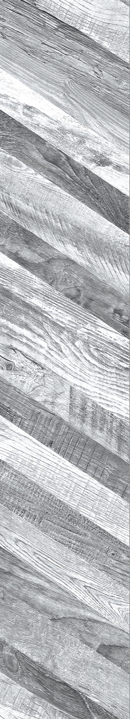 7303 Chevron silver